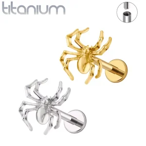 Piercing Labret Araignée Réaliste en Titane Poli ou Doré