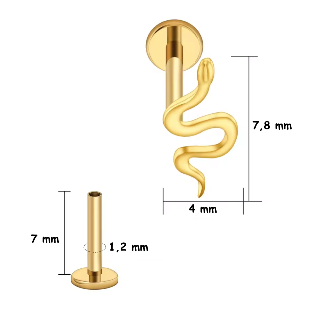 Piercing Labret Petit Serpent – Titane Poli ou Doré – Image 6