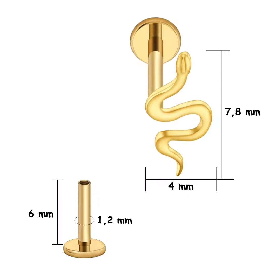 Piercing Labret Petit Serpent – Titane Poli ou Doré – Image 5