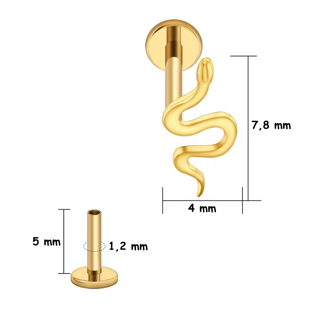 Piercing Labret Petit Serpent – Titane Poli ou Doré – Image 4
